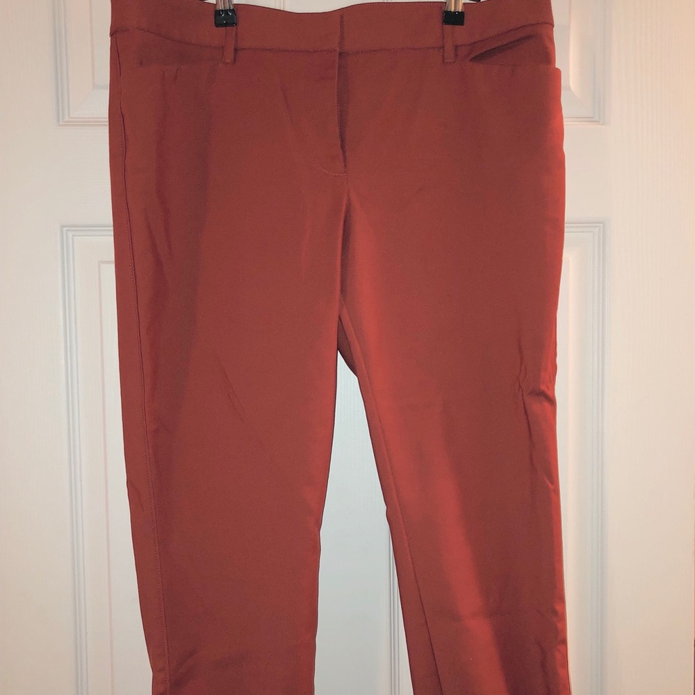 Dress Capri Slacks  WHBM Size 14